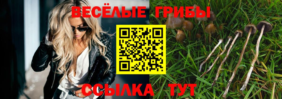 Псилоцибиновые грибы Cubensis Кунгур